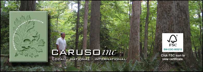 Caruso Inc. Local, National, International