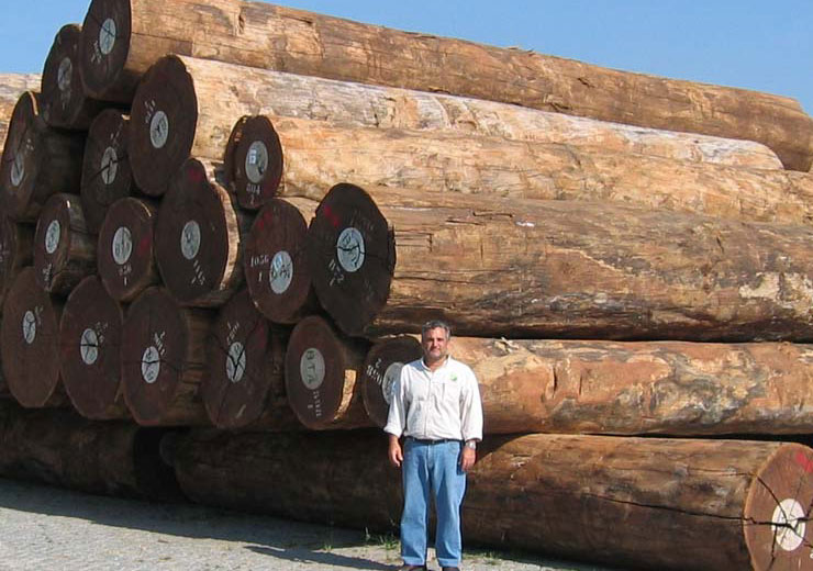 African Logs at Portugal Customer's Mill