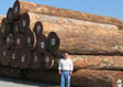 African Logs at Portual Customer's Mill