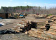 Log Yard Activity