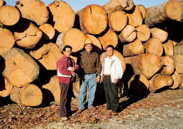 Japanese Buyers for Red Oak Logs