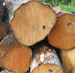 Soft Maple Saw Logs