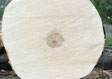 Hard Maple Veneer Log 10