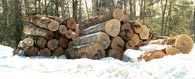 White Oak Veneer Log 1