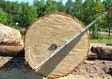 White Oak Veneer Log 9